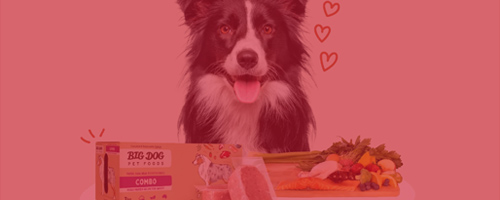pet-product